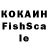 Cocaine Fish Scale Andriy Sulimovskyi