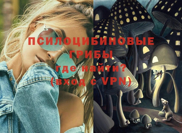 mdpv Новозыбков