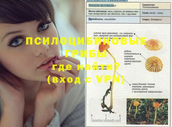 PSILOCYBIN Яранск