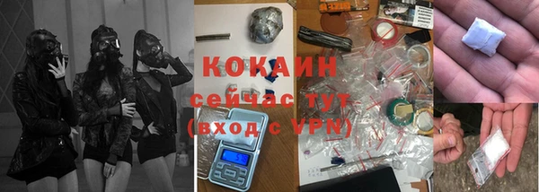 mdpv Новозыбков