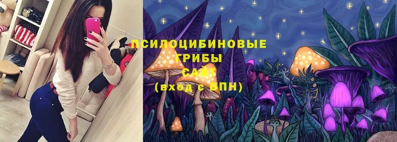 Псилоцибиновые грибы Magic Shrooms  это какой сайт  Нижняя Тура 