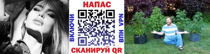 где можно купить наркотик  Нижняя Тура  Шишки марихуана AK-47 